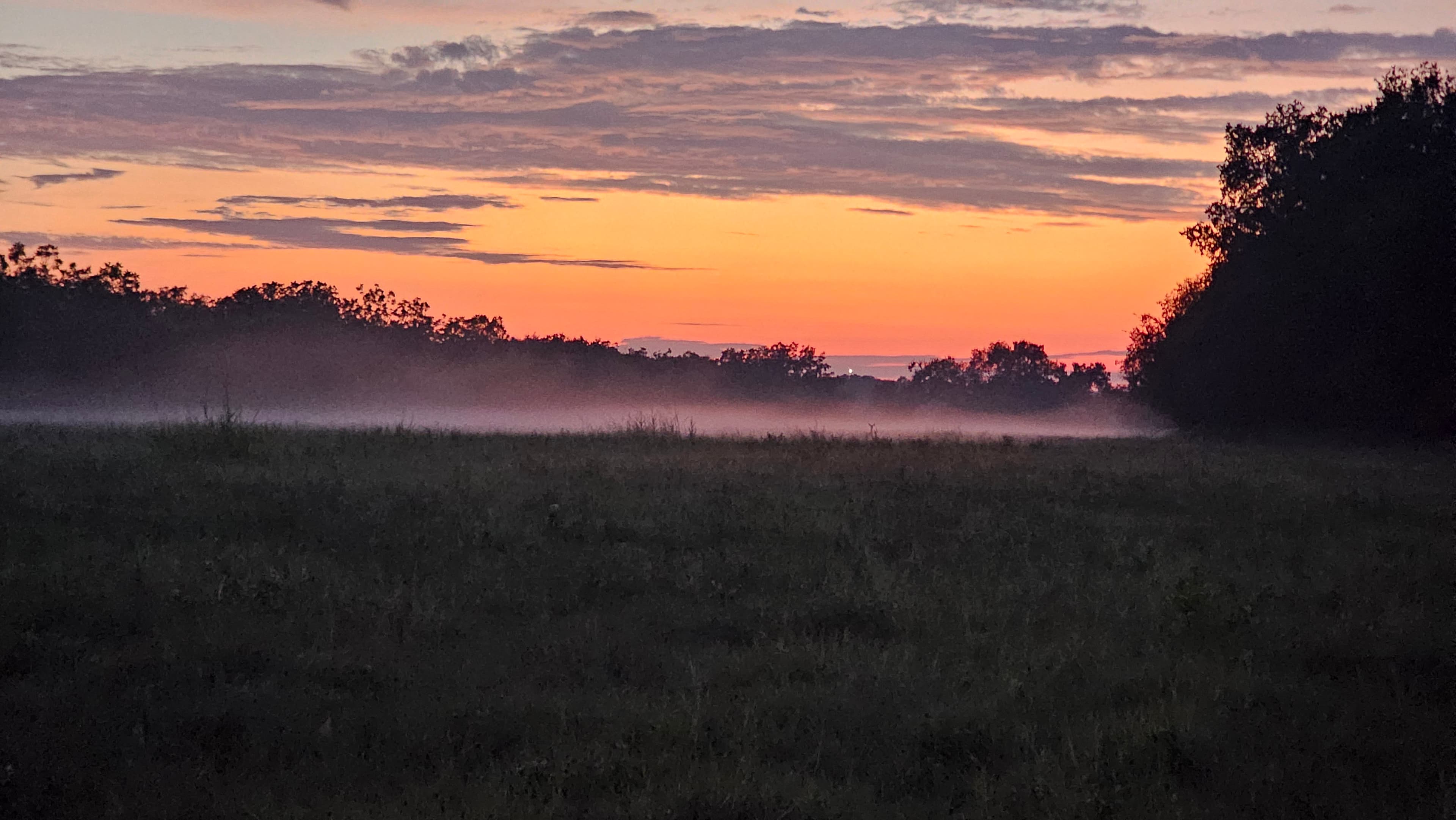 Central Texas morning fog