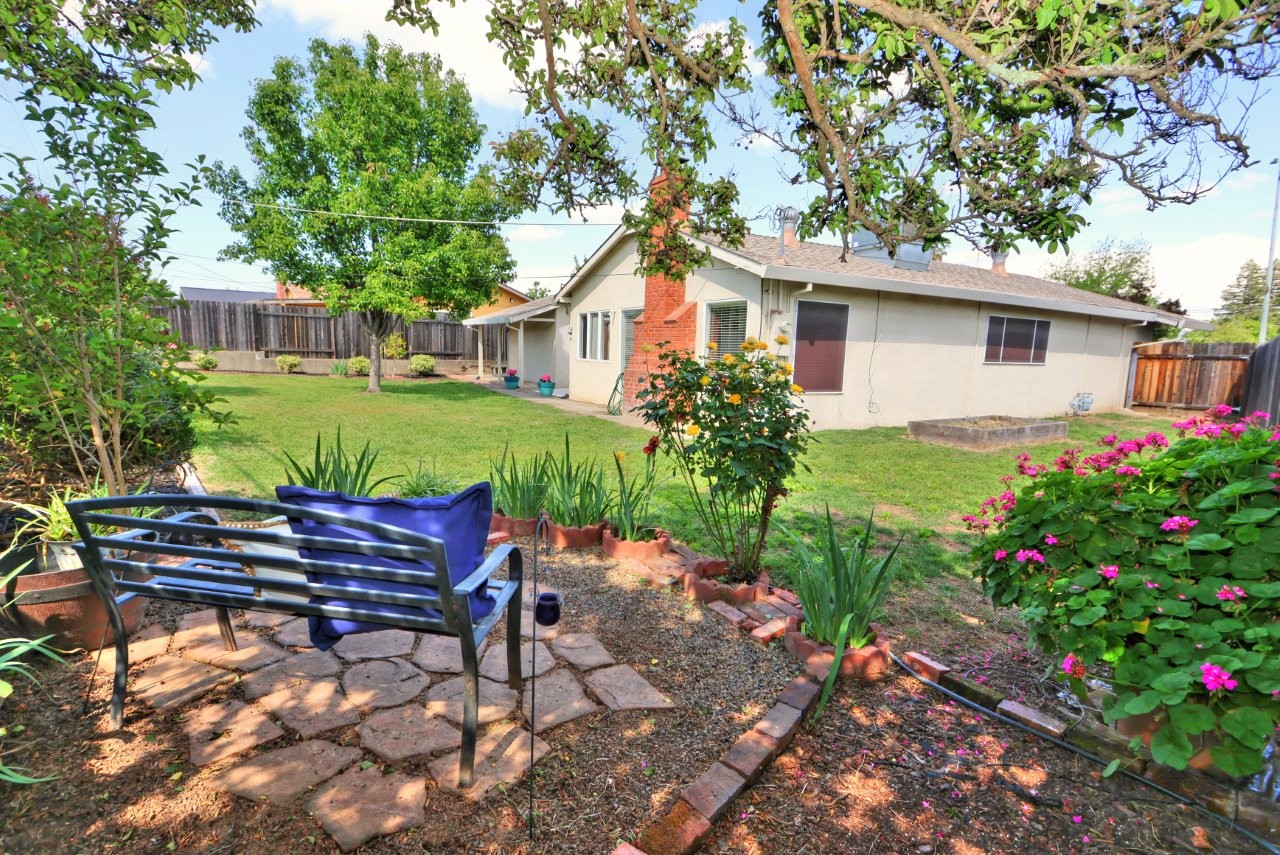 Back yard landscaping refresh