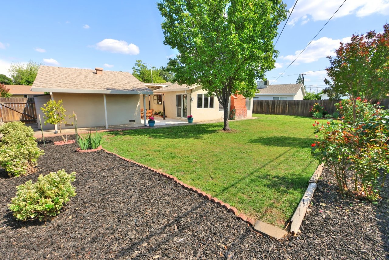 Back yard after landscaping