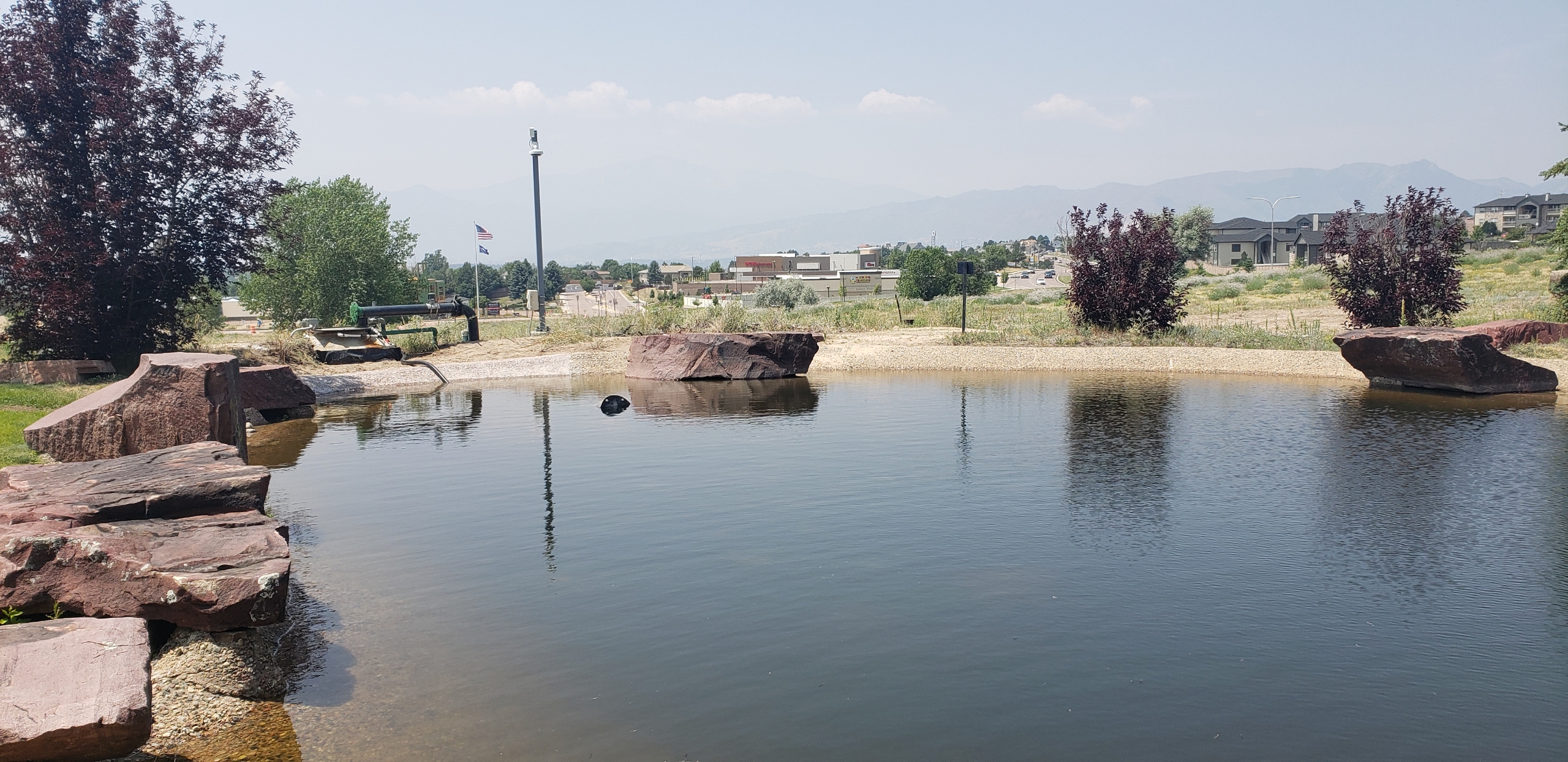 Pond restoration detail